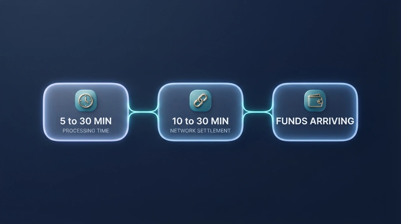 A horizontal timeline graphic showing BCH withdrawal stages: operator processing (5–30 min), BCH network settlement (10–30 min), funds in wallet